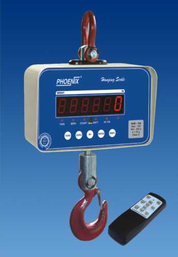 Crane Scale