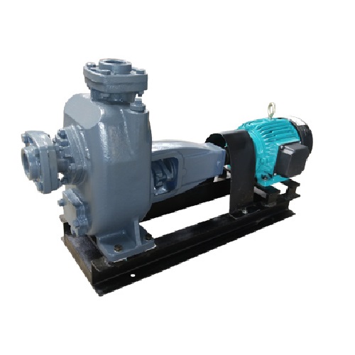 MUD PUMP WITH MOTOR