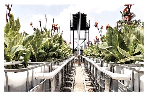 Effluent Treatment Plant 