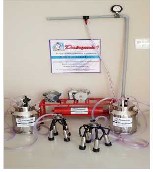 2 In 1 Milking Machine double bucket