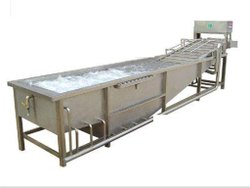 Vegetable Washer