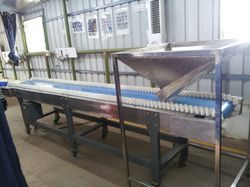 Inspection Conveyor