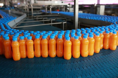 Pulp Processing Plant