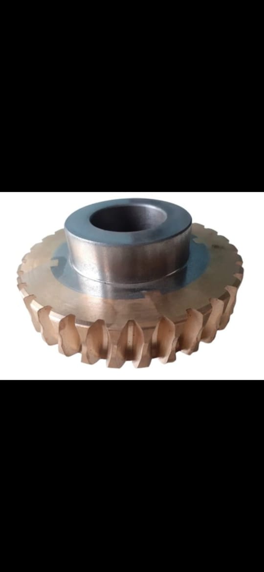 Mild Steel Worm Gear