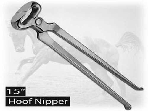 Hoof Cutters Veterinary Instruments