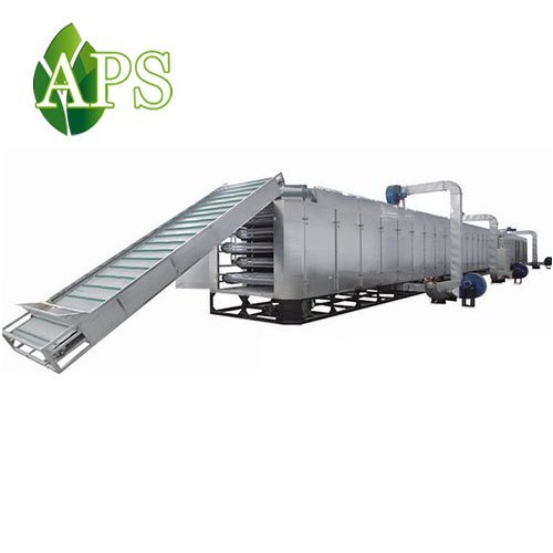 Continuous Vegetable Dryer 200kg