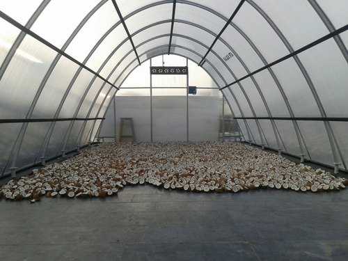 ATR Solar Dryer For Copra Drying