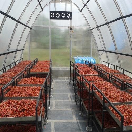 ATR Solar Dryer For Chillies Drying