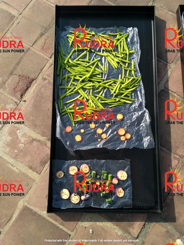 Fruit And Vegetable Dryer