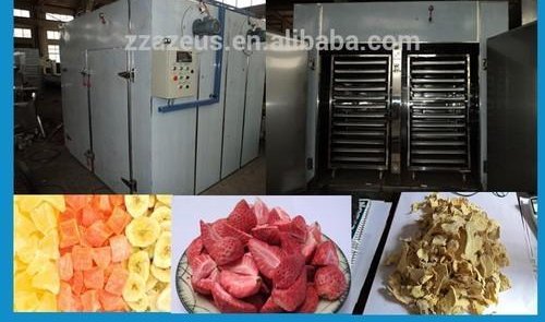 Solar Fruit Dryer