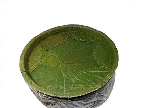 Banana Leaf Plate Making Machine