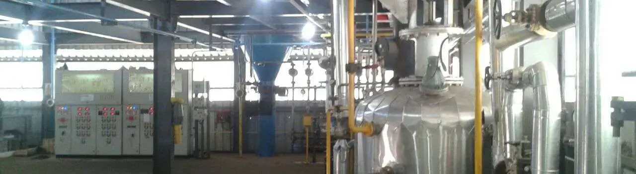 Vanaspati Plant