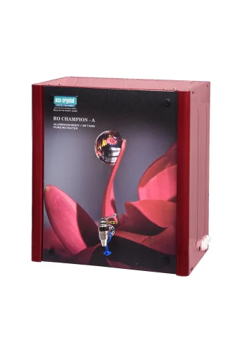 Stainless Steel RO Champion A Water Purifier