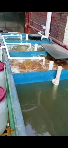 Prefabricated Packaged Effluent Treatment Plant