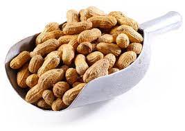 Peanuts in Shell Bold