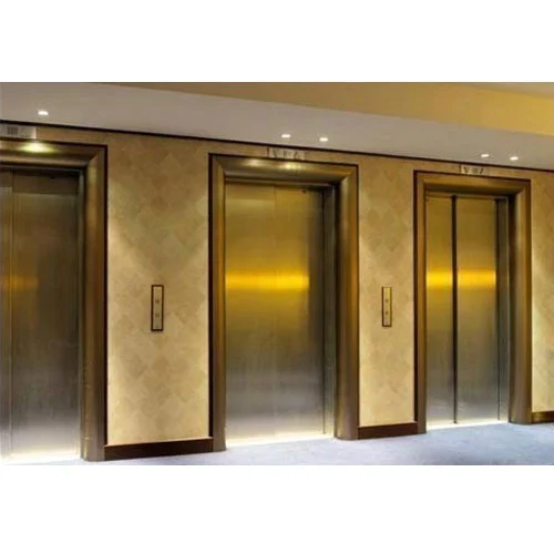 Auto Door Passenger Elevator