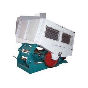 Paddy Separator
