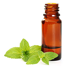 Aroma Therapy