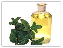 Natural Mentha Oil