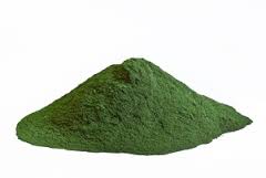 Spirulina Powder