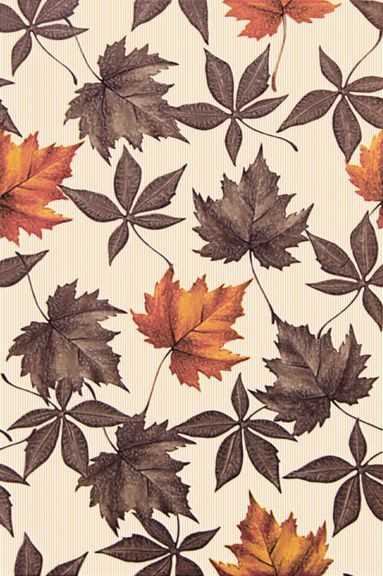 Wall Tiles