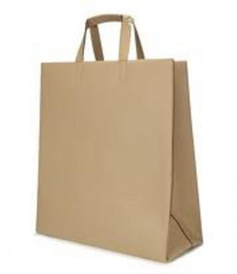 Paper Carry Bags