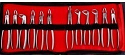 Tooth extraction forceps