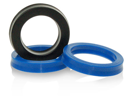 Hydraulic And Pneumatic Seal