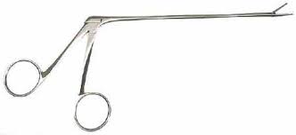 Alligator Forceps