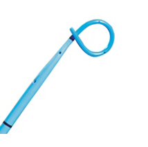 Endopyelotomy Stent Disposables
