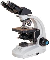 Binocular microscope
