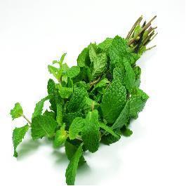 HERBAL AND AGRICULTURAL PRODUCTS