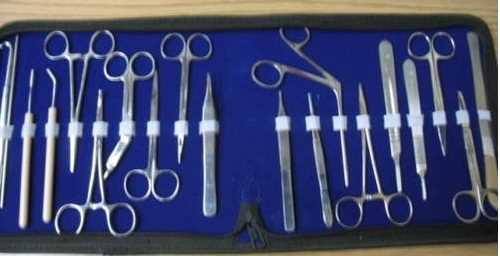 Intestinal & Rectal Instrument