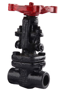 GLOBE VALVE SCREWED END