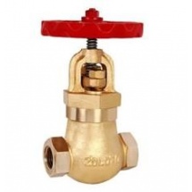 Zoloto Controllable Feed Check Valve