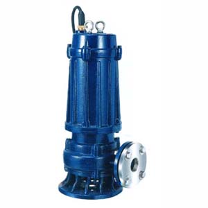 Sewage Pumps