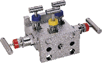 H type 5 Valve Manifold Flange to Flange mounting