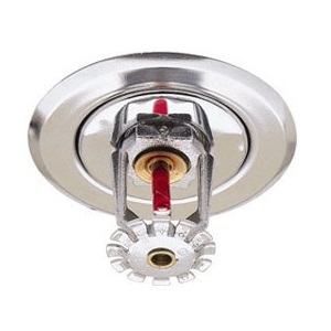 Fire Sprinkler System