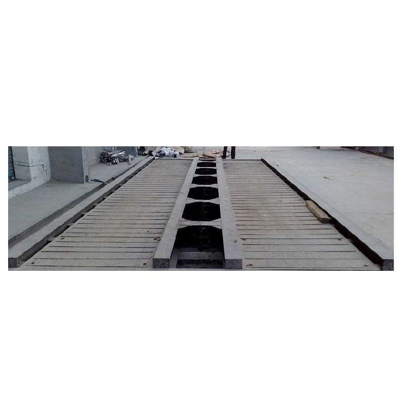 Instant Mobile Track Weighing Platform
