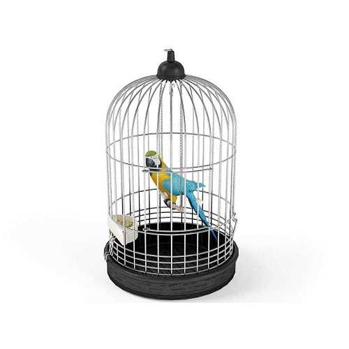Bird shop