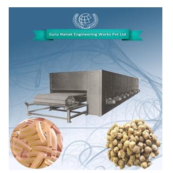 Continuous Conveyor Dryer