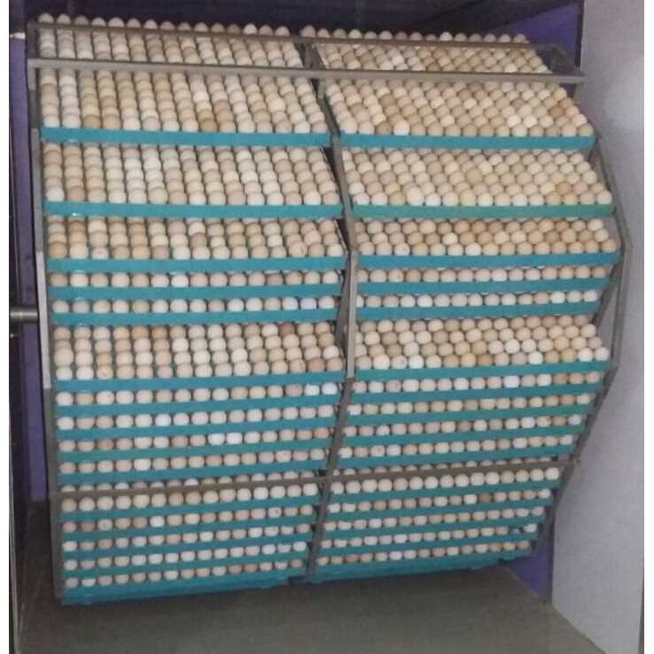 Chicken Incubator