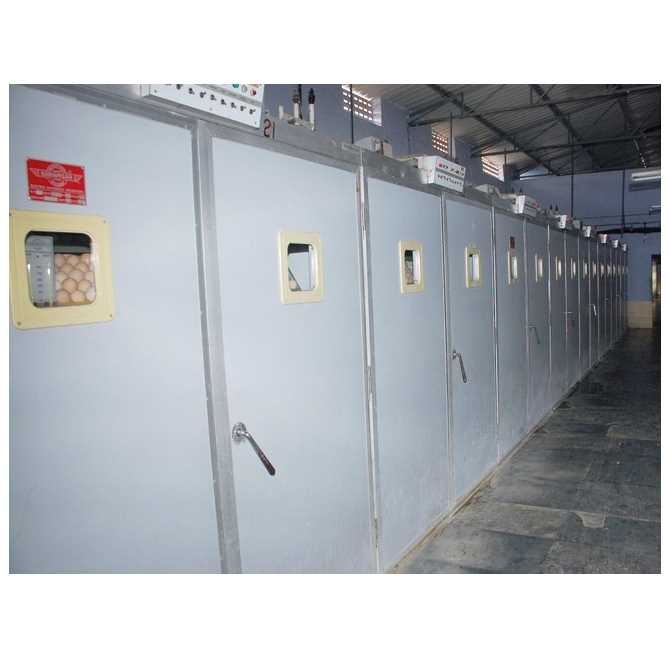 Egg Incubator