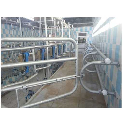 20 Point Herringbone Milking Parlor
