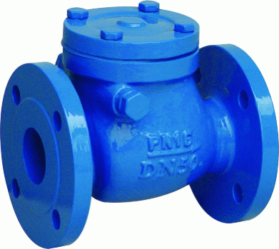 Check Valves