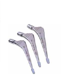 Cemented Hip Prosthesis