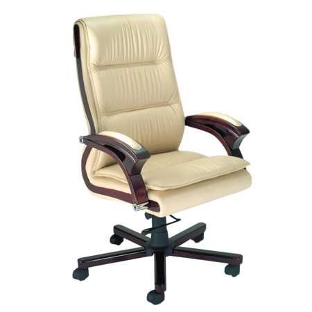 Advanto Director Chair  AVXD 001
