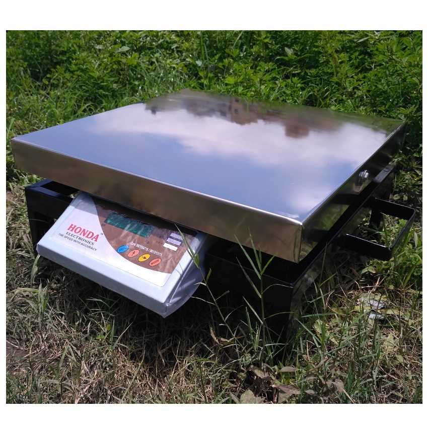 Kisan Weighing Scale