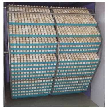 CHICKEN INCUBATOR