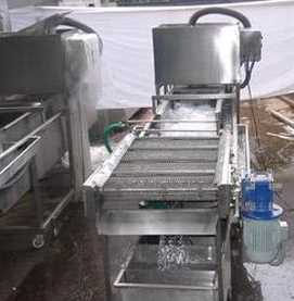 Vegetable Washer  500 KG Per hour